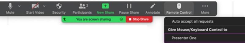 Screenshot of Zoom sharing controls, displaying top of screen.