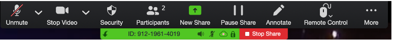 Screenshot of Zoom controls for host.