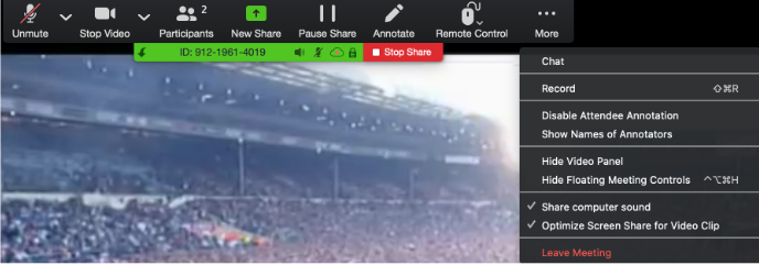 Zoom screenshot of controls for a host.